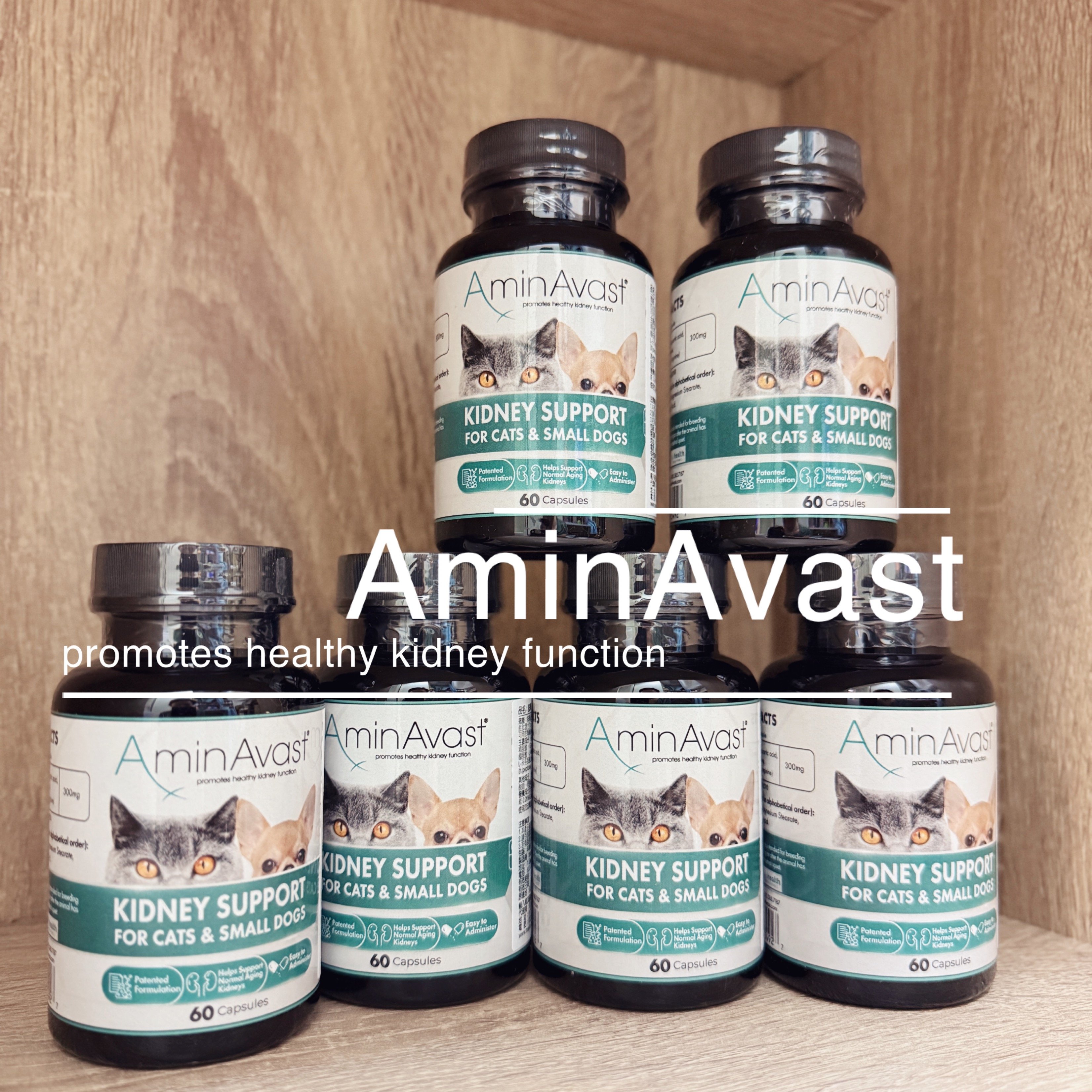 美國 AminAvast 貓/小型犬專用 胺腎 腎衰竭 腎臟保健 60顆裝 胺基酸