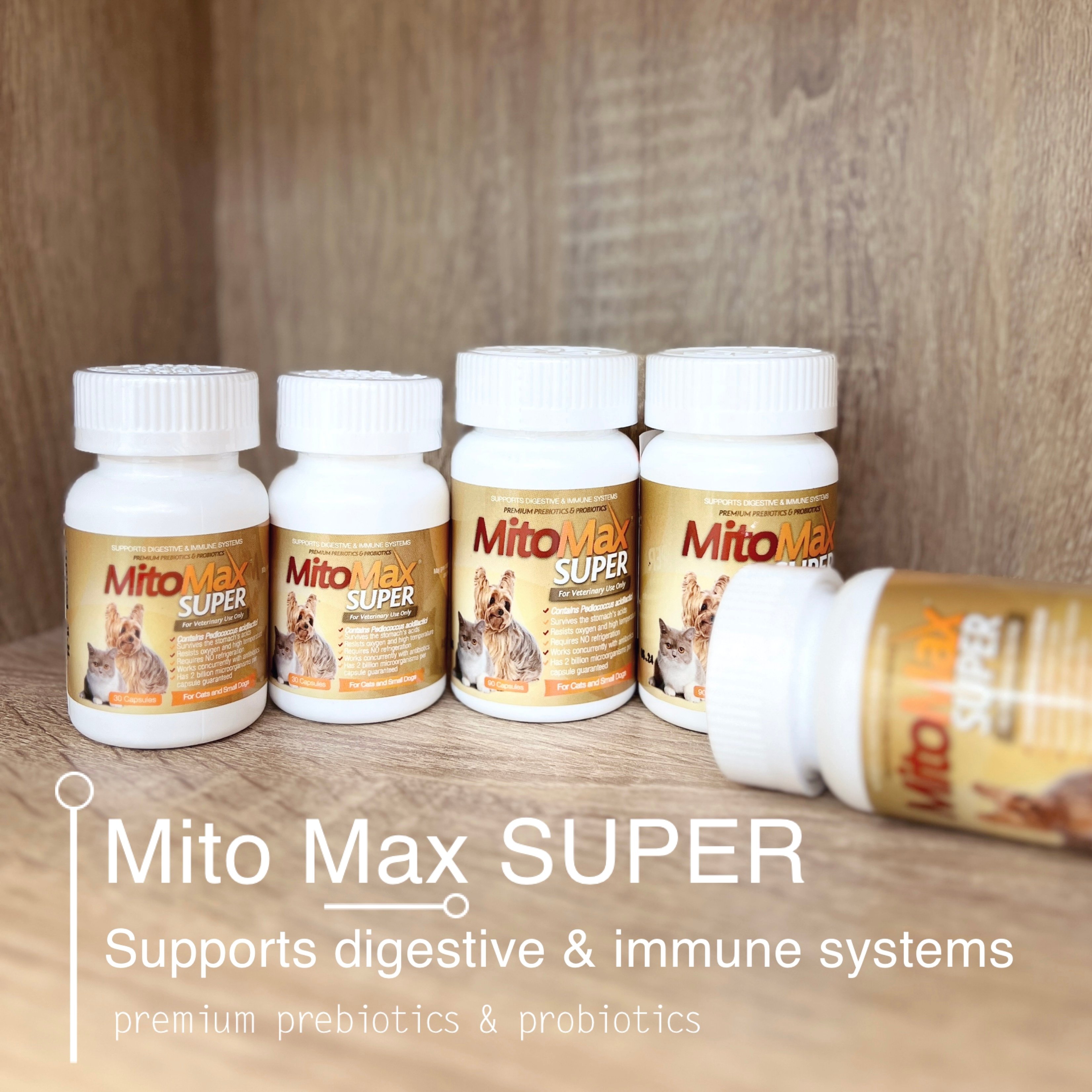 超級樂活素 優質益生菌 中小型犬貓 腸道保健.腎臟保健.降低體臭.糞臭.維持免疫力