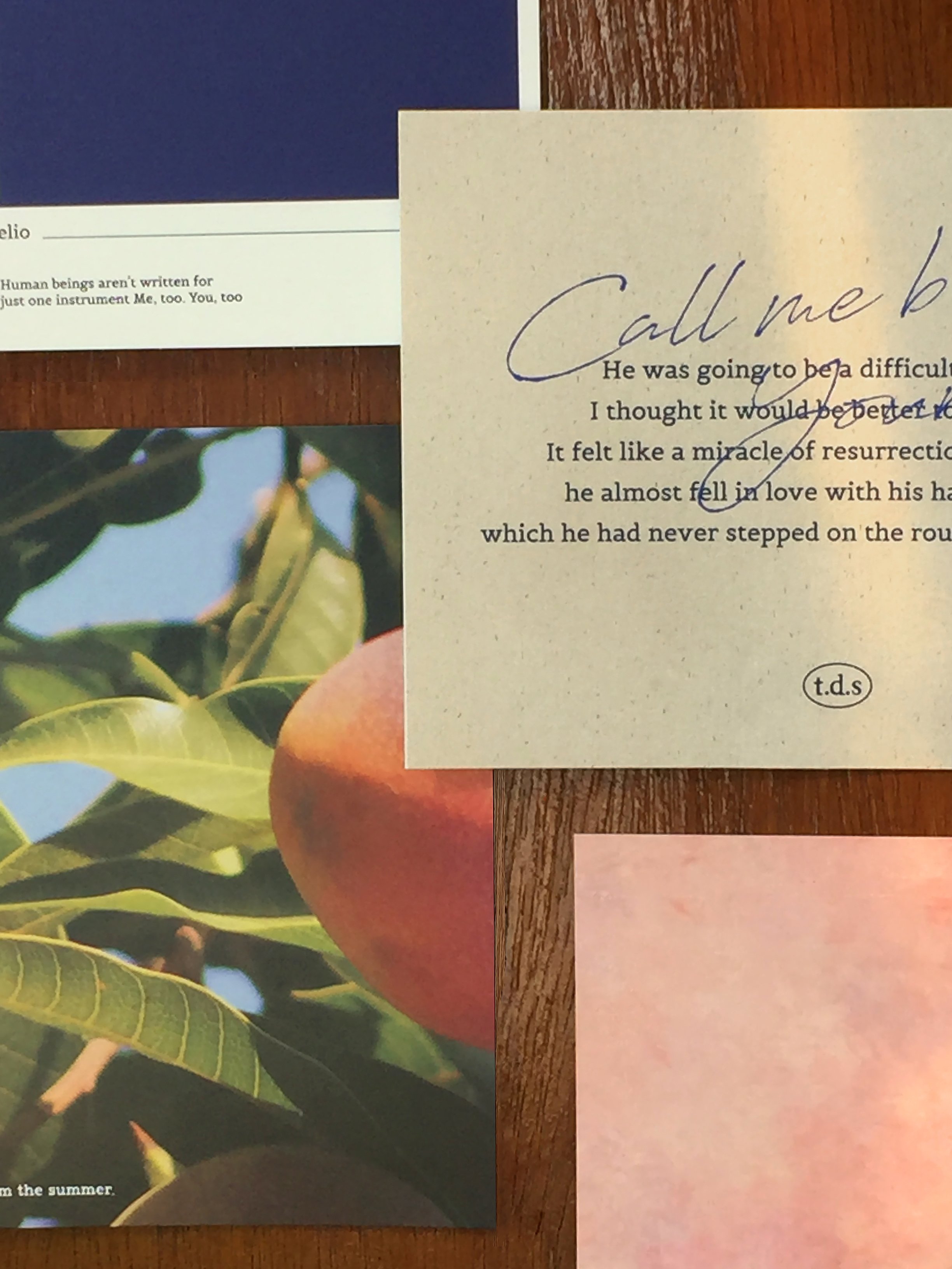 （現貨）韓國 t.d.s ｜call me by your name 明信片組（6張）