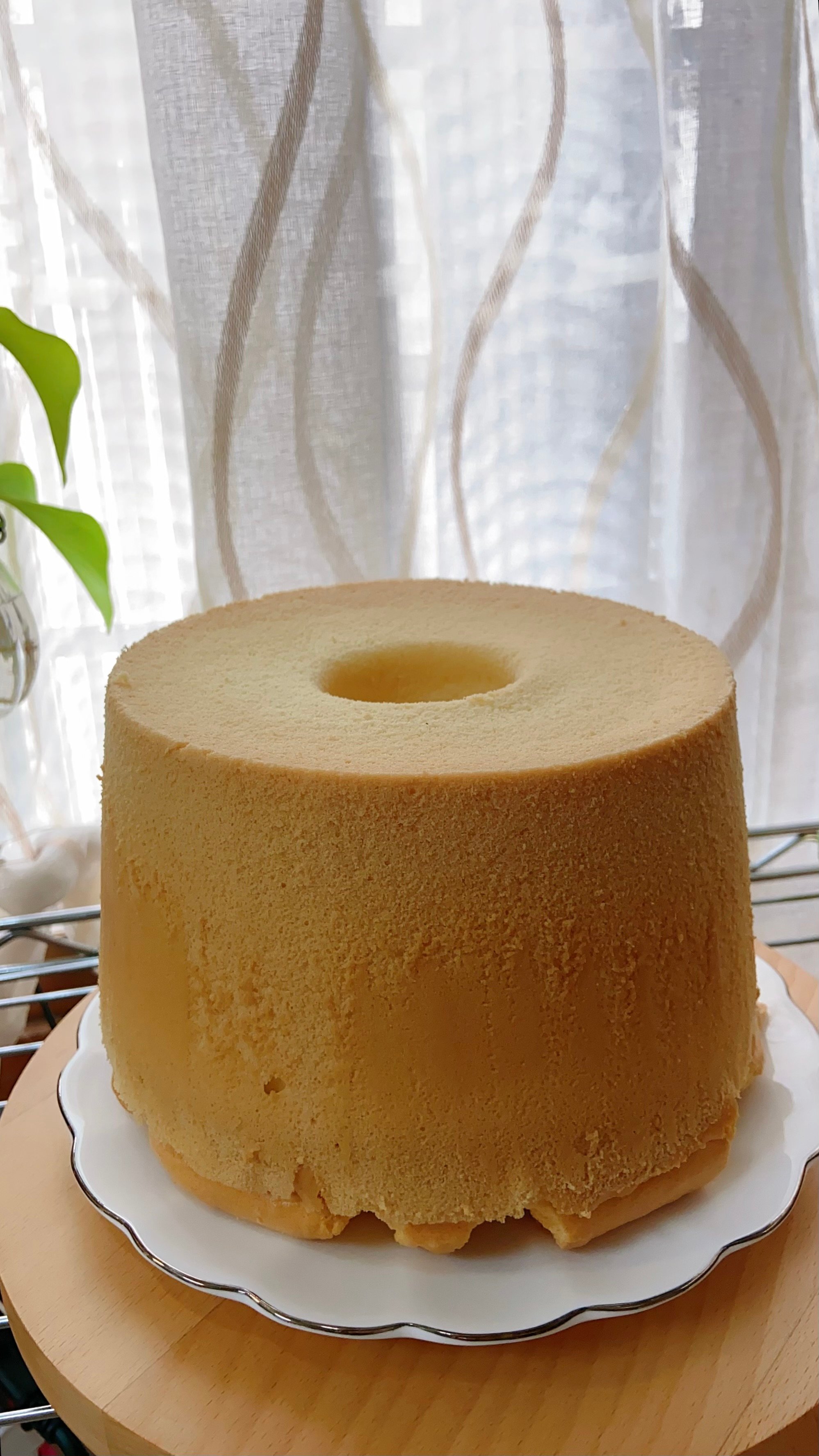 米戚風蛋糕 香草（無麩質）