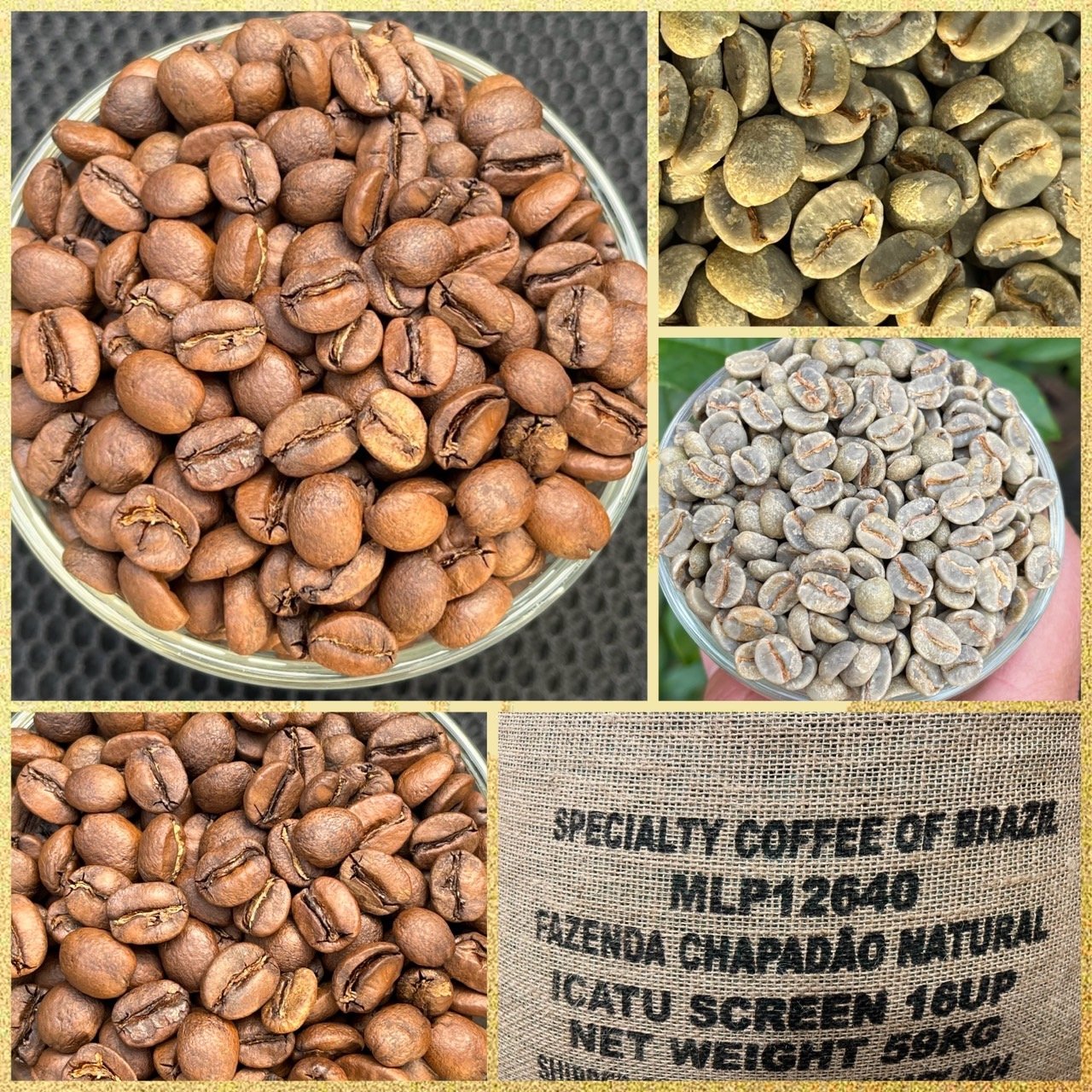 熊團長每月特惠咖啡｜巴西 查帕鐺莊園/巧克力森巴 日曬咖啡熟豆 (買一送一)