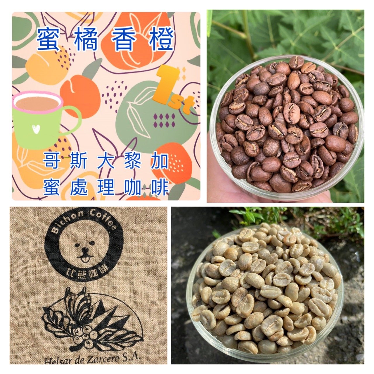 熊團長每月特惠咖啡｜哥斯大黎加 西部谷地 赫爾莎處理廠 白蜜咖啡熟豆 (買一送一)