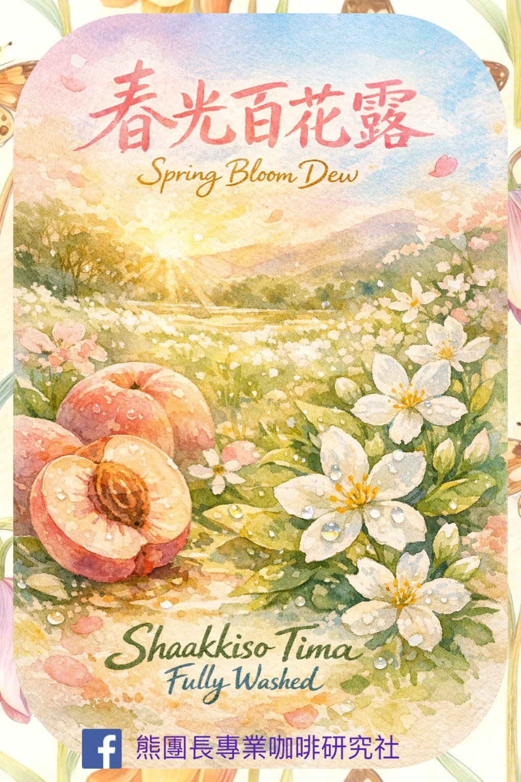《四季花果系列：衣索比亞 古吉/蒂瑪Tima 🍹春光花露🌹歐規 極致水洗咖啡》