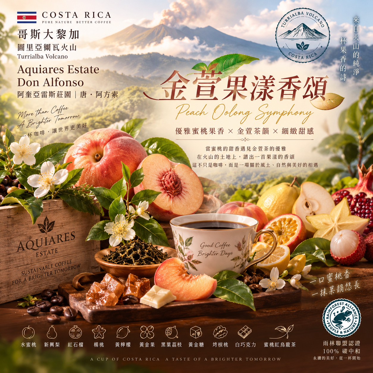 《非喝不可系列：哥斯大黎加 圖里亞爾瓦火山 阿奎亞雷斯 🌷金萱果漾香頌🍑 水洗特色咖啡》