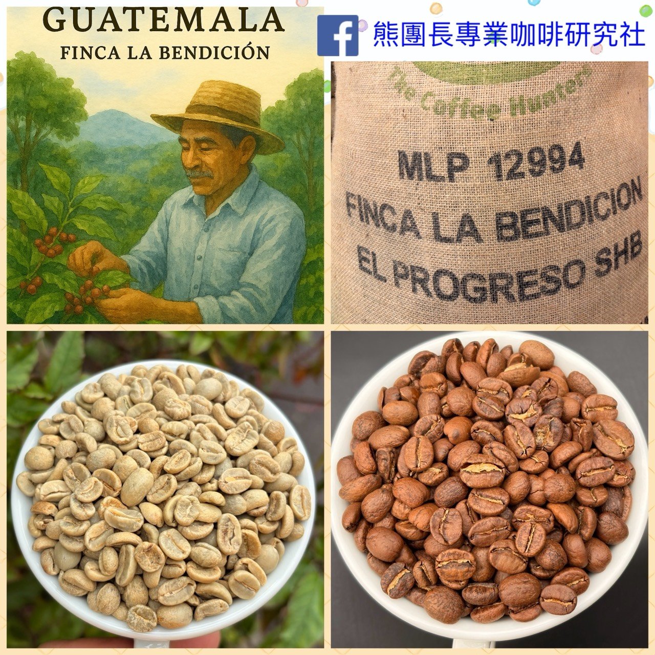 熊團長每月特惠咖啡｜瓜地馬拉 祝福莊園 ✨森林之心 水洗咖啡熟豆 (買一送一)
