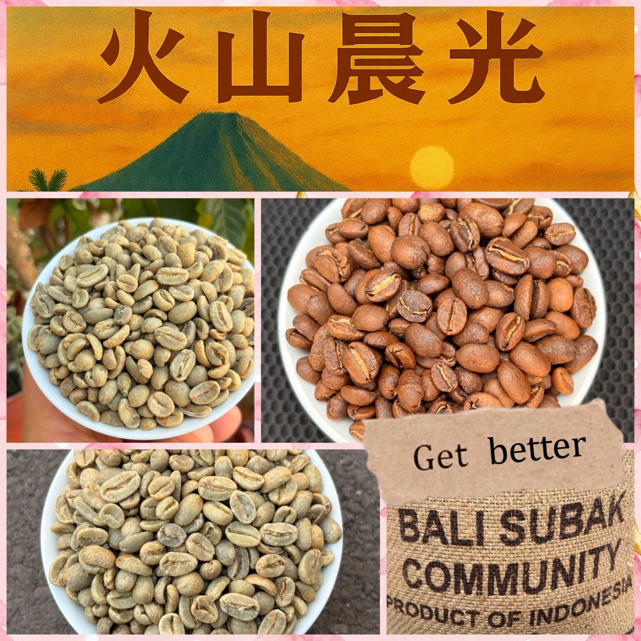 熊團長每月特惠咖啡｜峇里島 金塔瑪尼 🌋火山晨光✨ 水洗咖啡熟豆 (買一送一)
