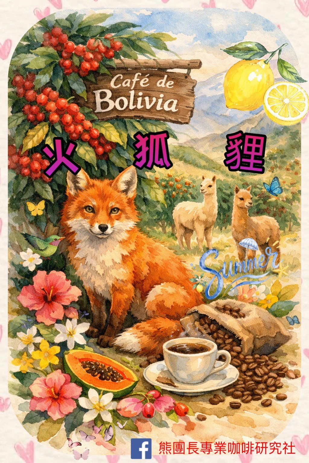 《夢幻南美洲系列：玻利維亞 卡拉納維/烏丘馬奇 🔥火狐狸🦊 水洗特色咖啡》
