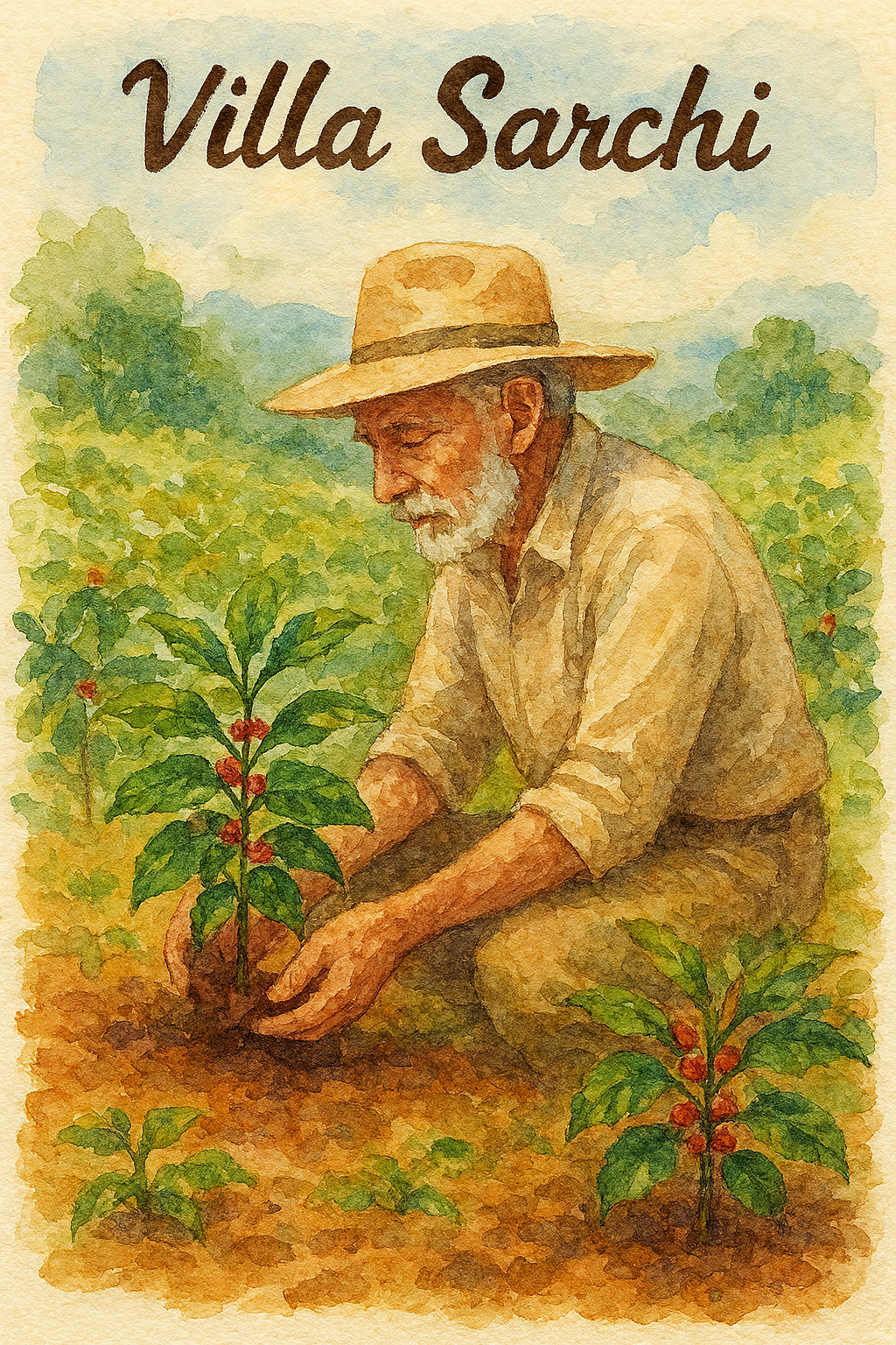 《國寶咖啡系列：哥斯大黎加 西部谷地 聖塔露西亞莊園 🌟維拉薩奇 老爺爺蜜香特色咖啡》