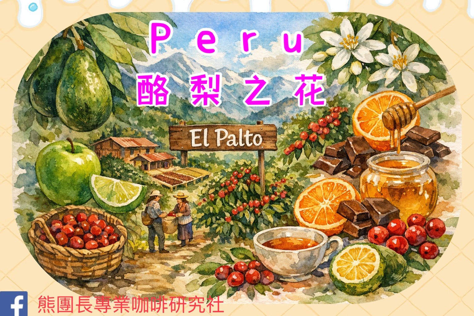 《天空之城系列：祕魯 卡哈馬卡 🥑酪梨之花💐 特色水洗咖啡》