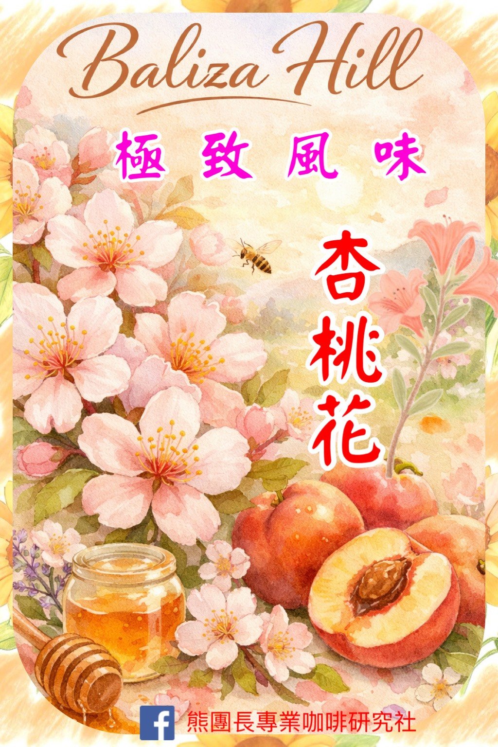 《千山之國系列：盧安達 北部省 巴利札之丘 茹莉處理站 🍑杏桃花🌸水洗特色咖啡》
