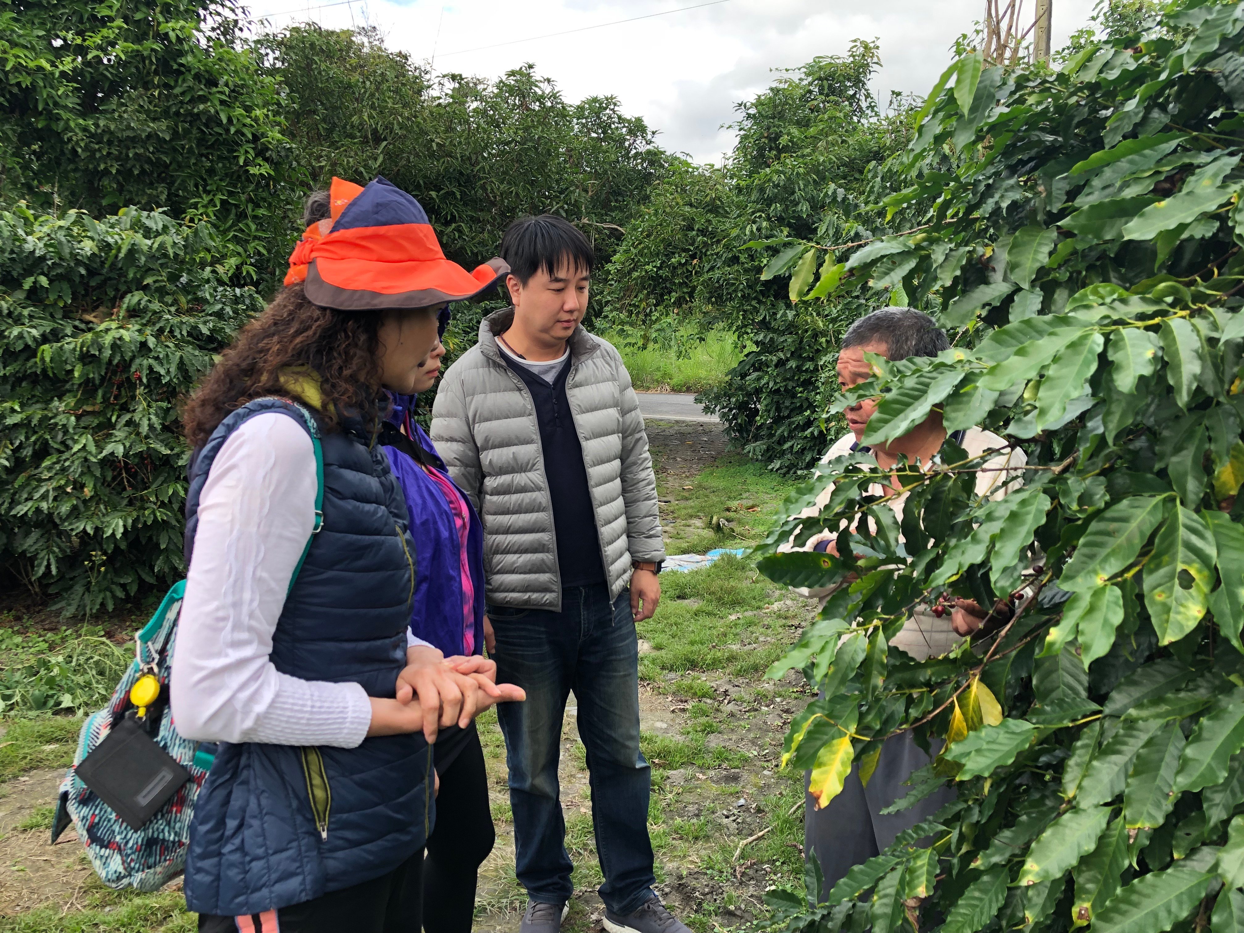 【活動紀錄】花蓮咖啡採集製作