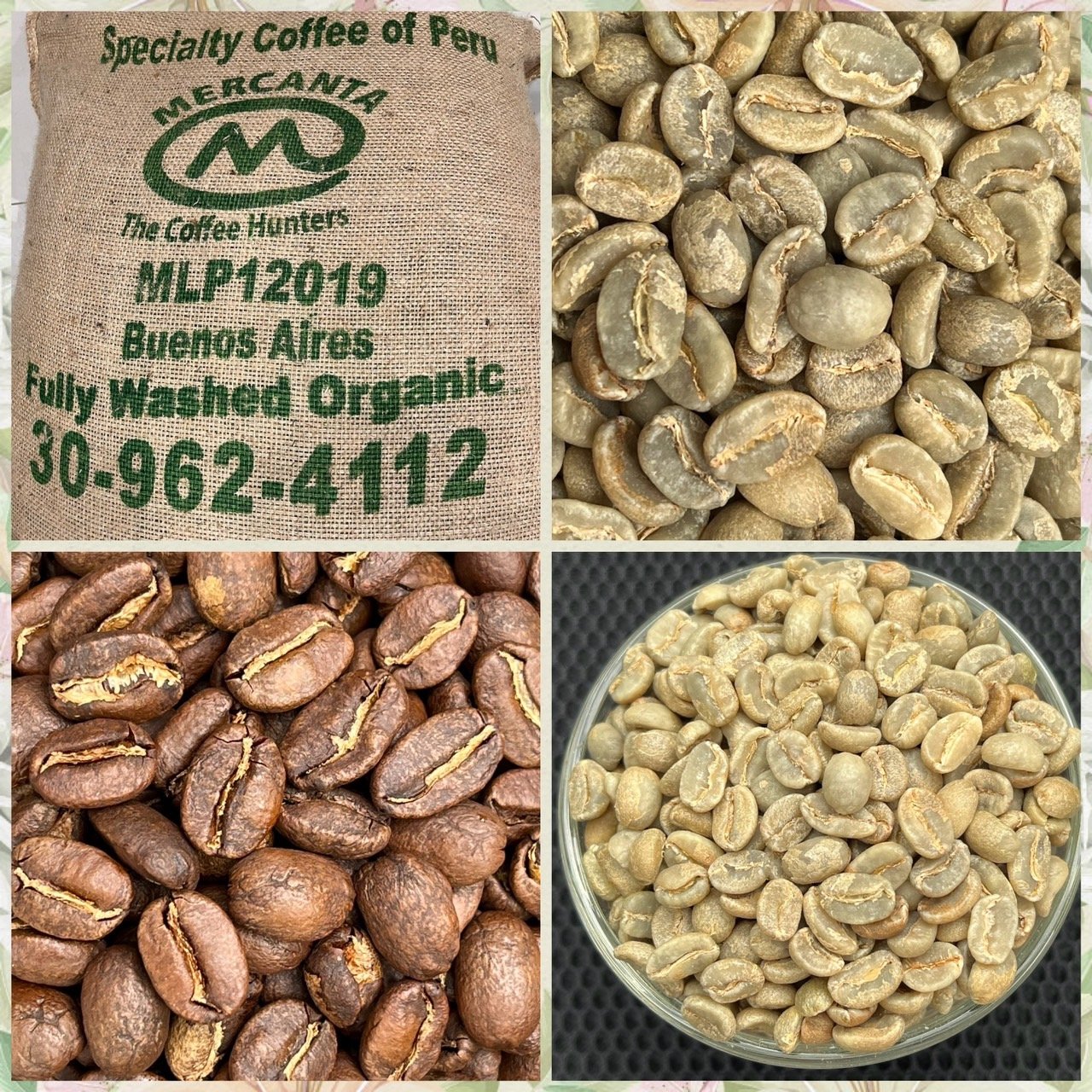 熊團長每月特惠咖啡｜秘魯 卡哈馬卡/鳳梨莊園 香果奶油糖 水洗咖啡熟豆 (買一送一)