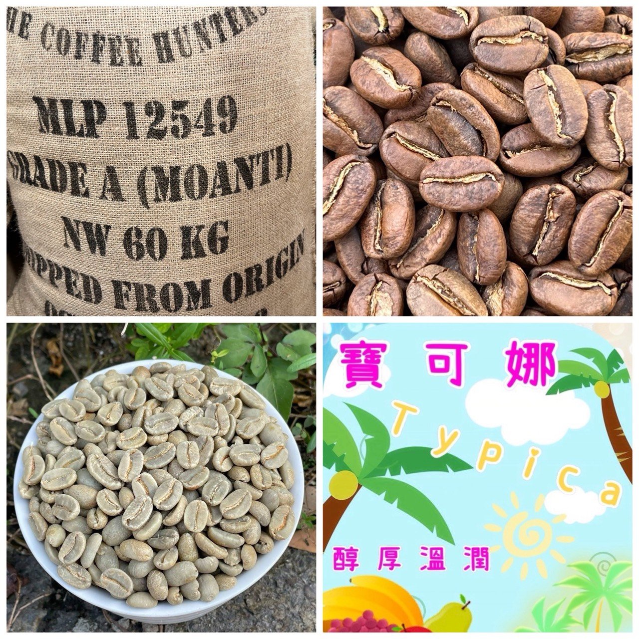 熊團長每月特惠咖啡｜巴布亞新幾內亞 莫安蒂/寶可娜 小藍山水洗咖啡熟豆 (買一送一)