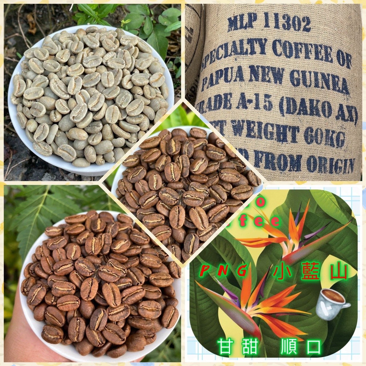 熊團長每月特惠咖啡｜巴布亞新幾內亞 吉瓦卡/達科小農️ 小藍山水洗咖啡熟豆 (買一送一)