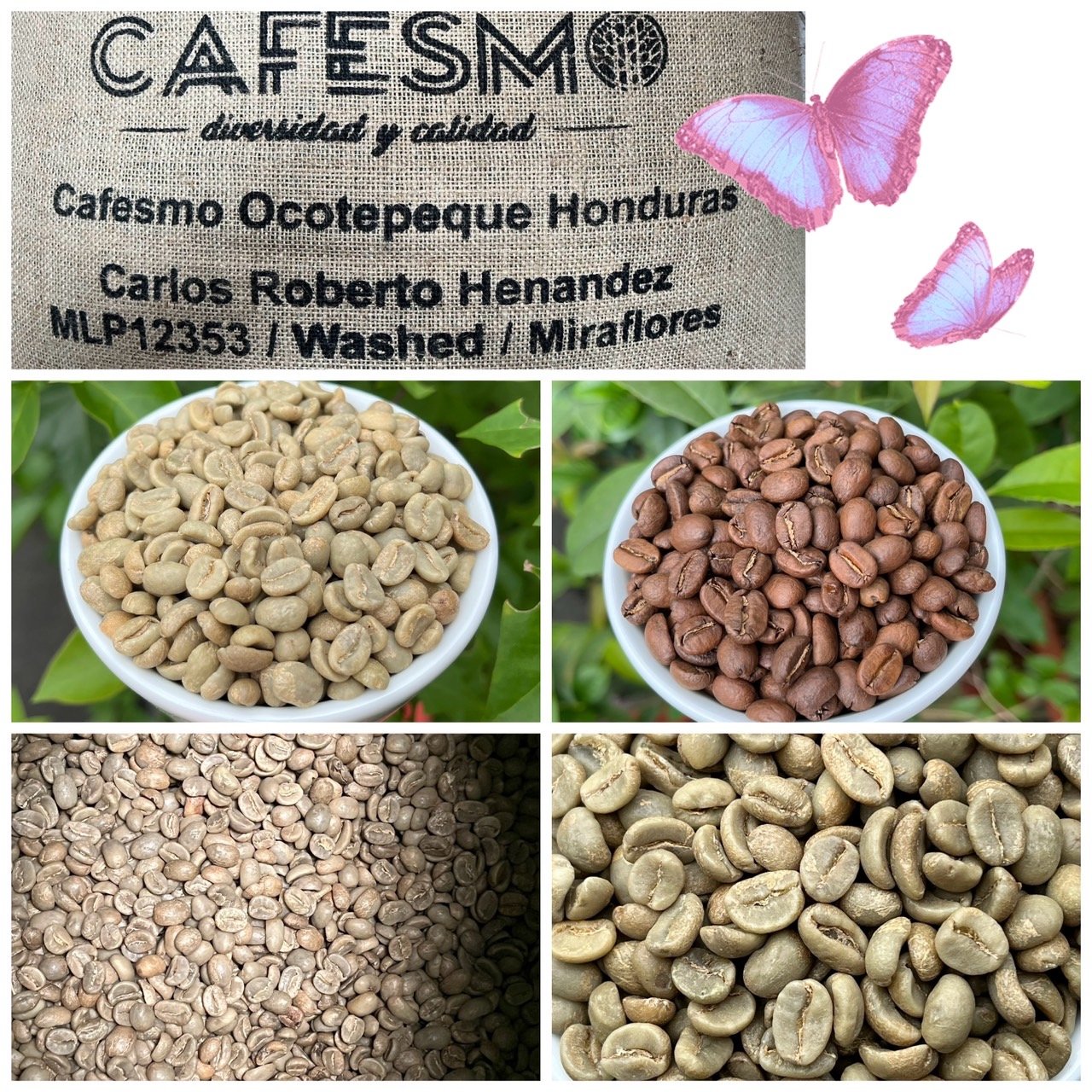 熊團長每月特惠咖啡｜宏都拉斯 奧科特佩克/賞花莊園 雋永花神 水洗咖啡熟豆 (買一送一)