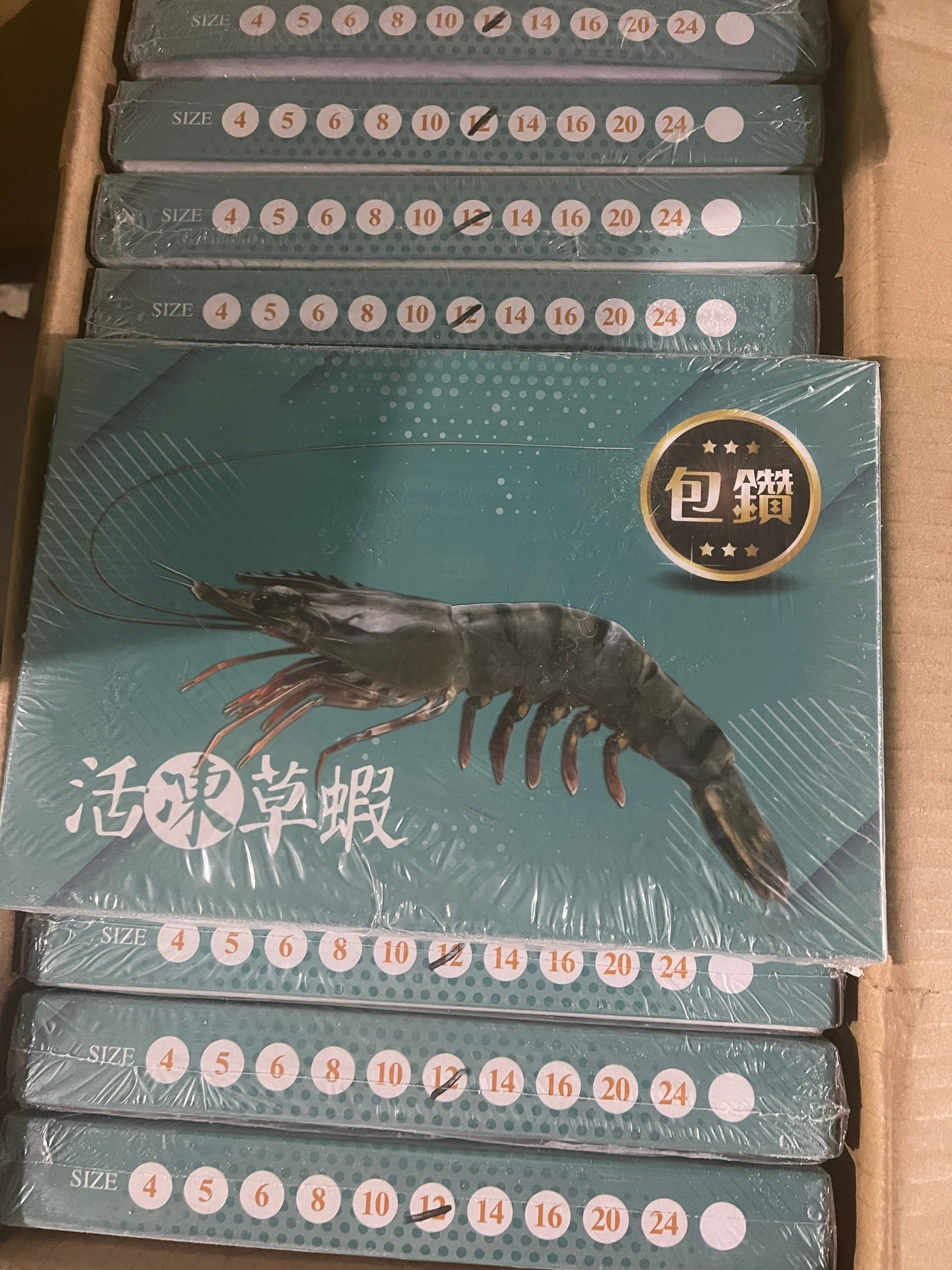 包鑽活凍草蝦12P