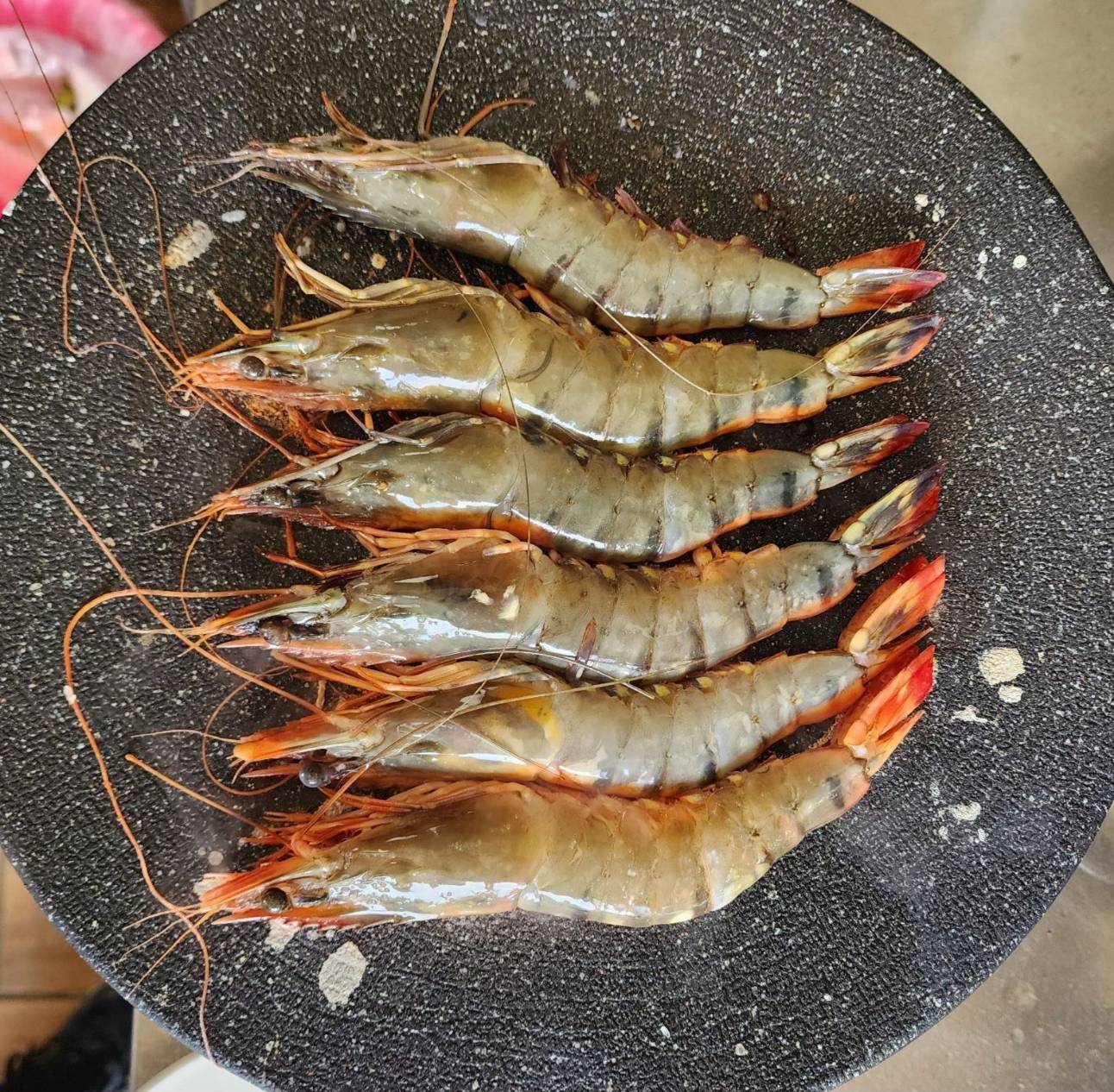 YES大尾6P海草蝦