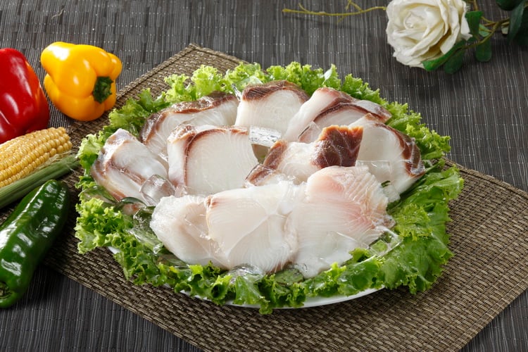 冷凍水鯊魚片