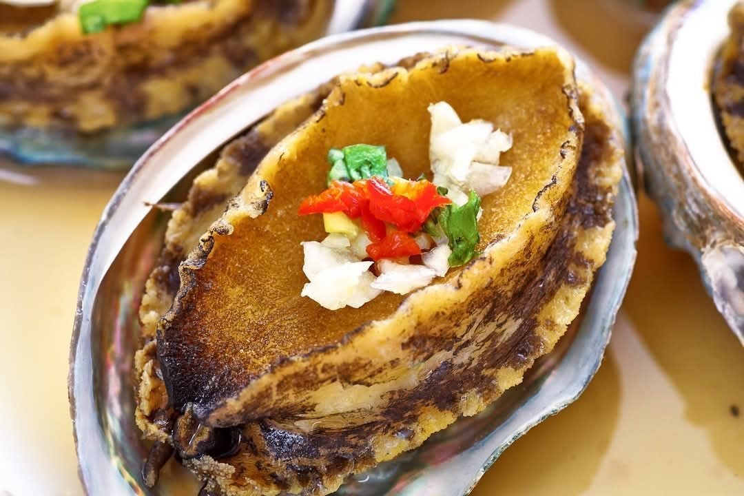 活體急速冷凍半殼鮑魚26~30P