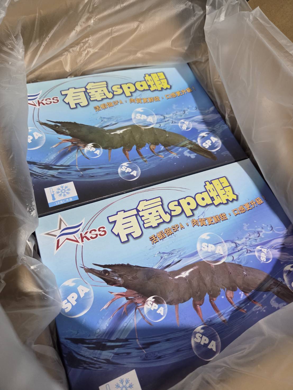 頂級有氧Spa大白蝦