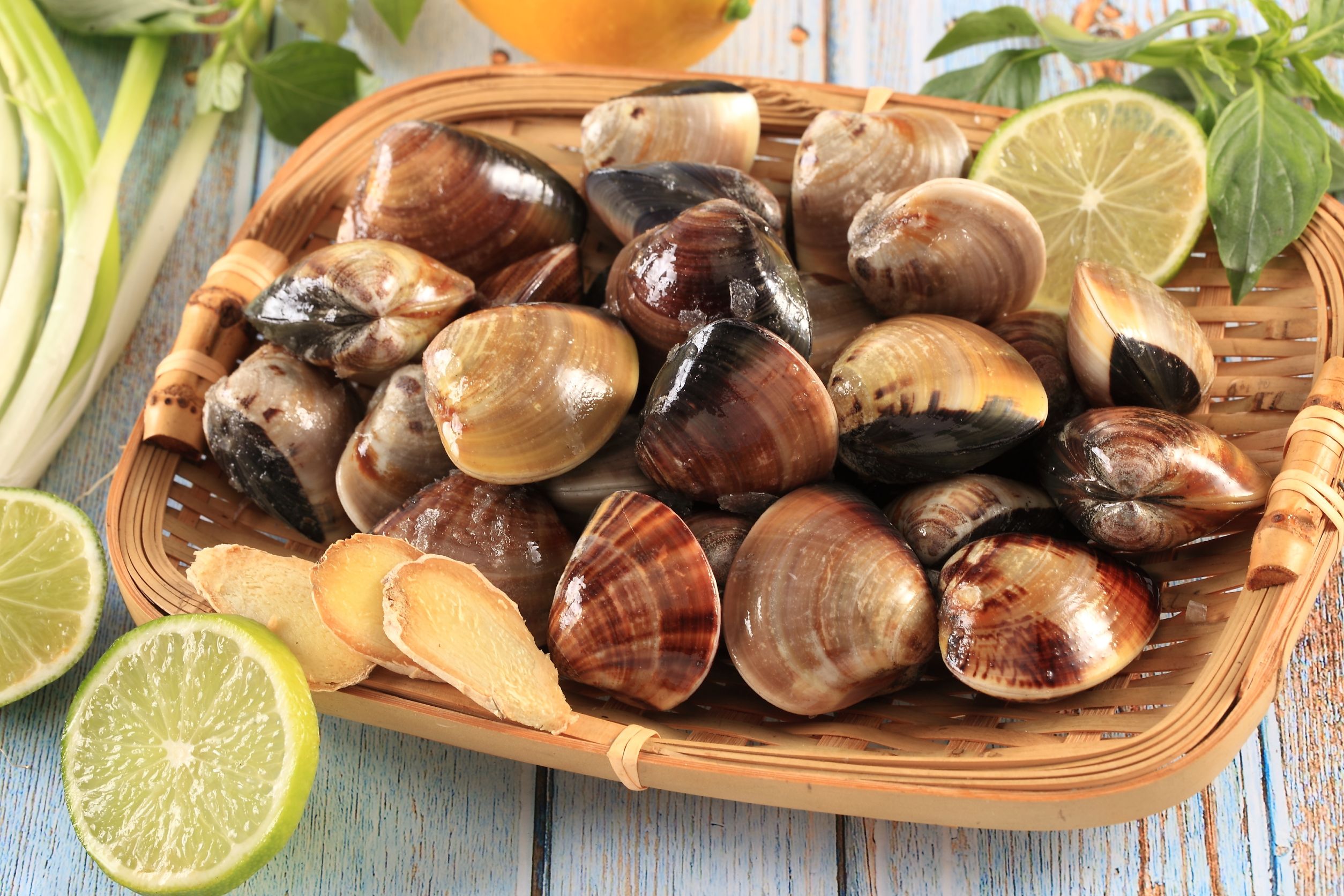 現流台南七股文蛤