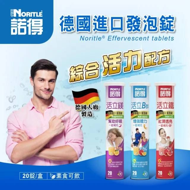 德國諾得進口發泡錠