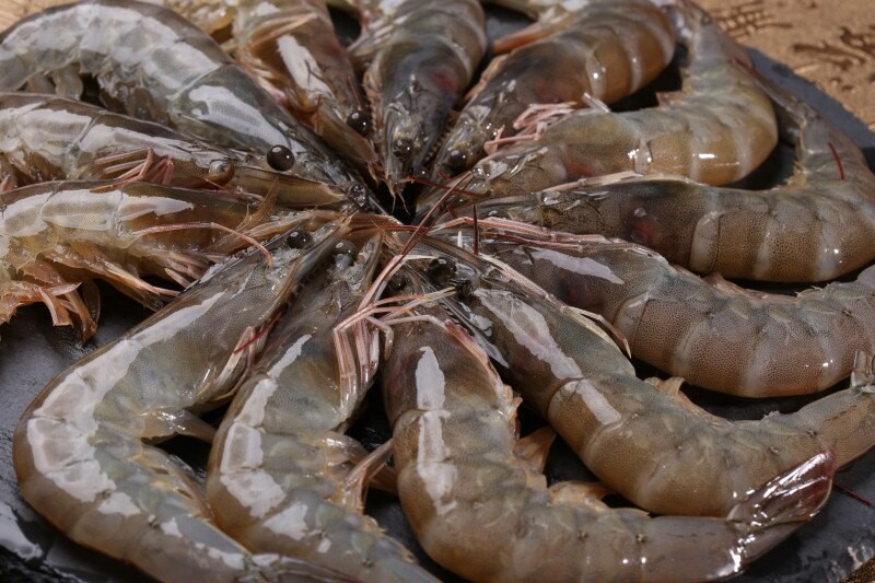 五星活凍白蝦21/25