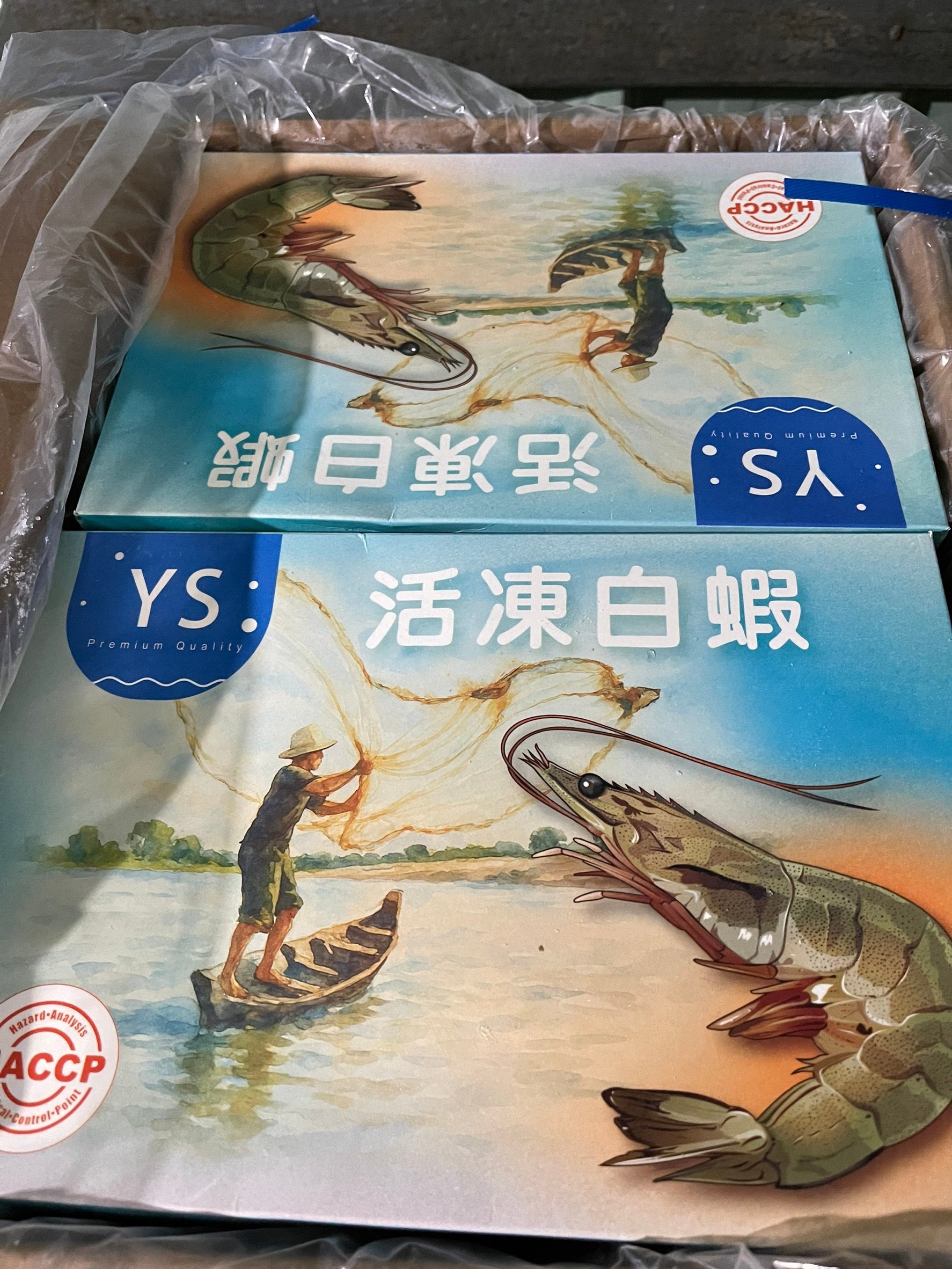 YS活凍白蝦