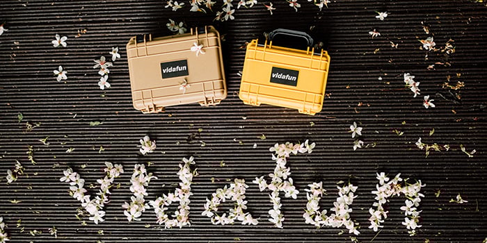 春天賞油桐花－土城桐花公園