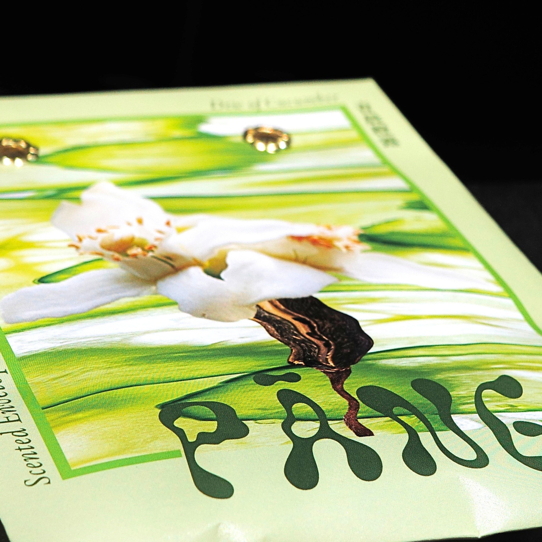 菱殼炭信封香氛袋 | 青晨橙露 Scented Envelope｜Dew of Cucumber