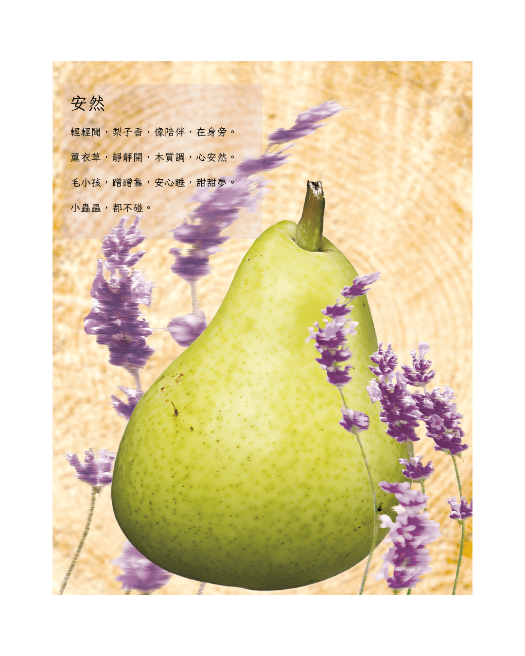 《安然 Soft Rest｜在無聲中，與你和毛孩共享輕柔時光》