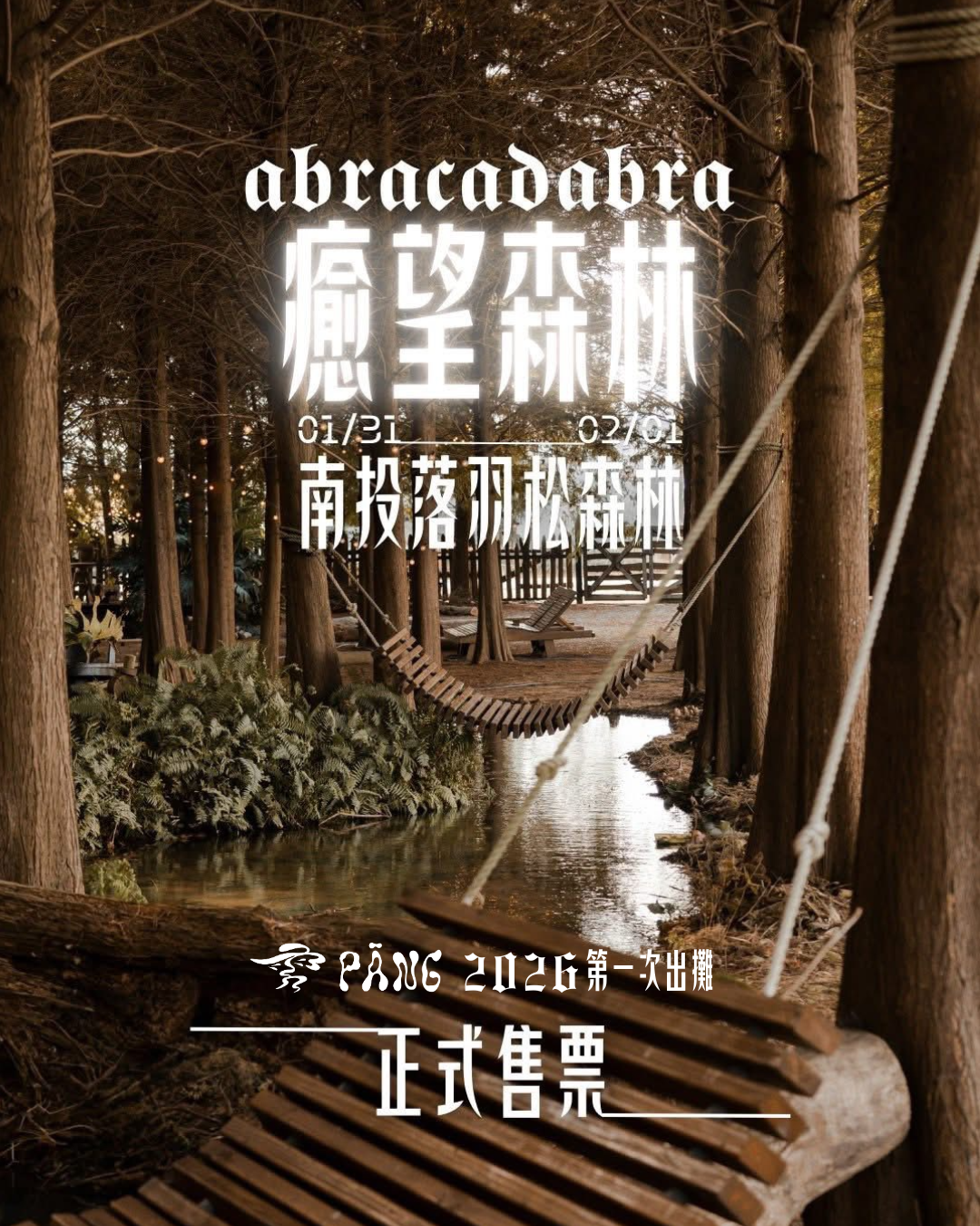 走進《癒望森林》當 雱 PĀNG 遇見落羽松｜開啟一場氣味的療癒對話