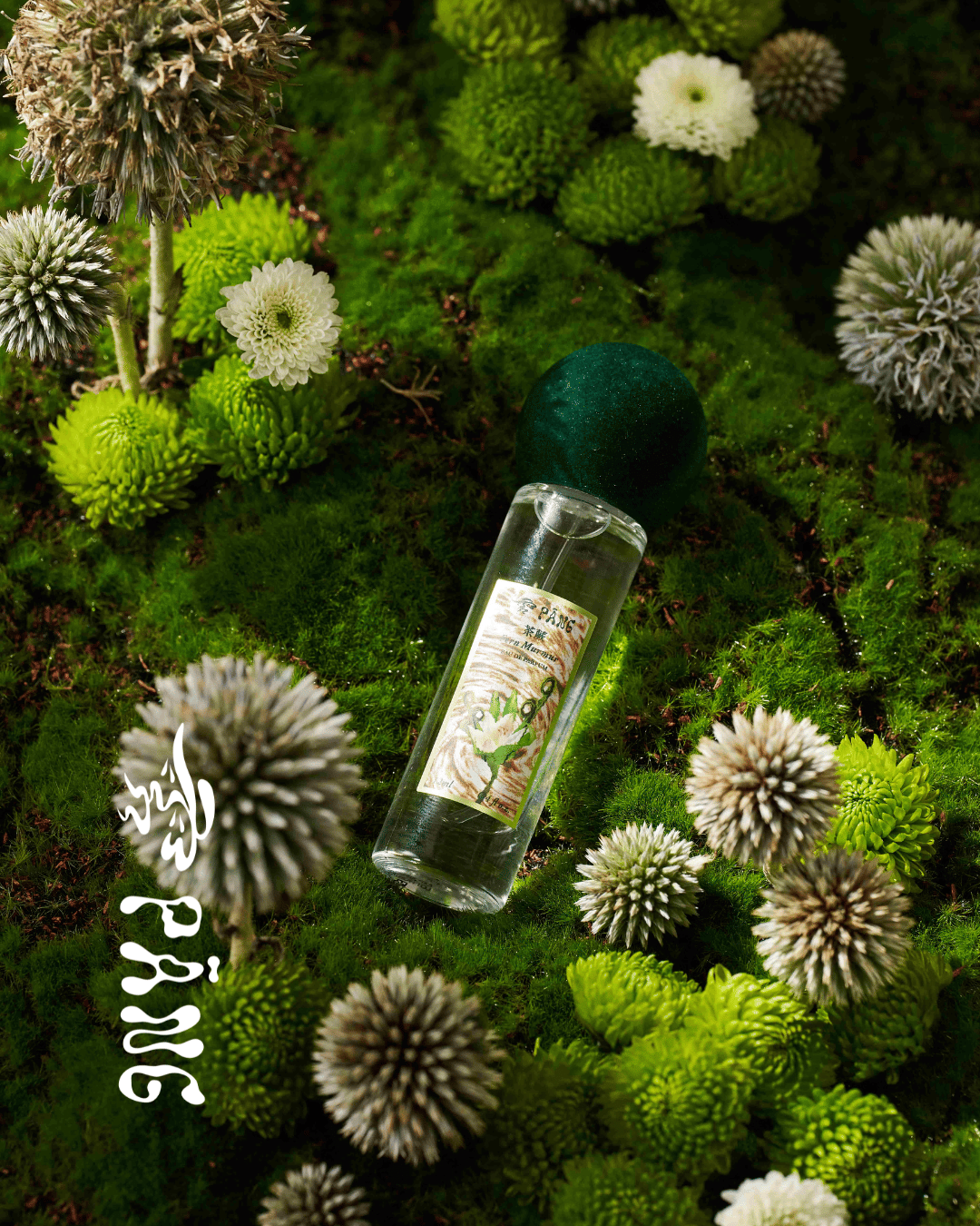 茶蕨 Fern Murmur 淡香精 EDP｜2026 文博會全新首發 - 雱 PĀNG