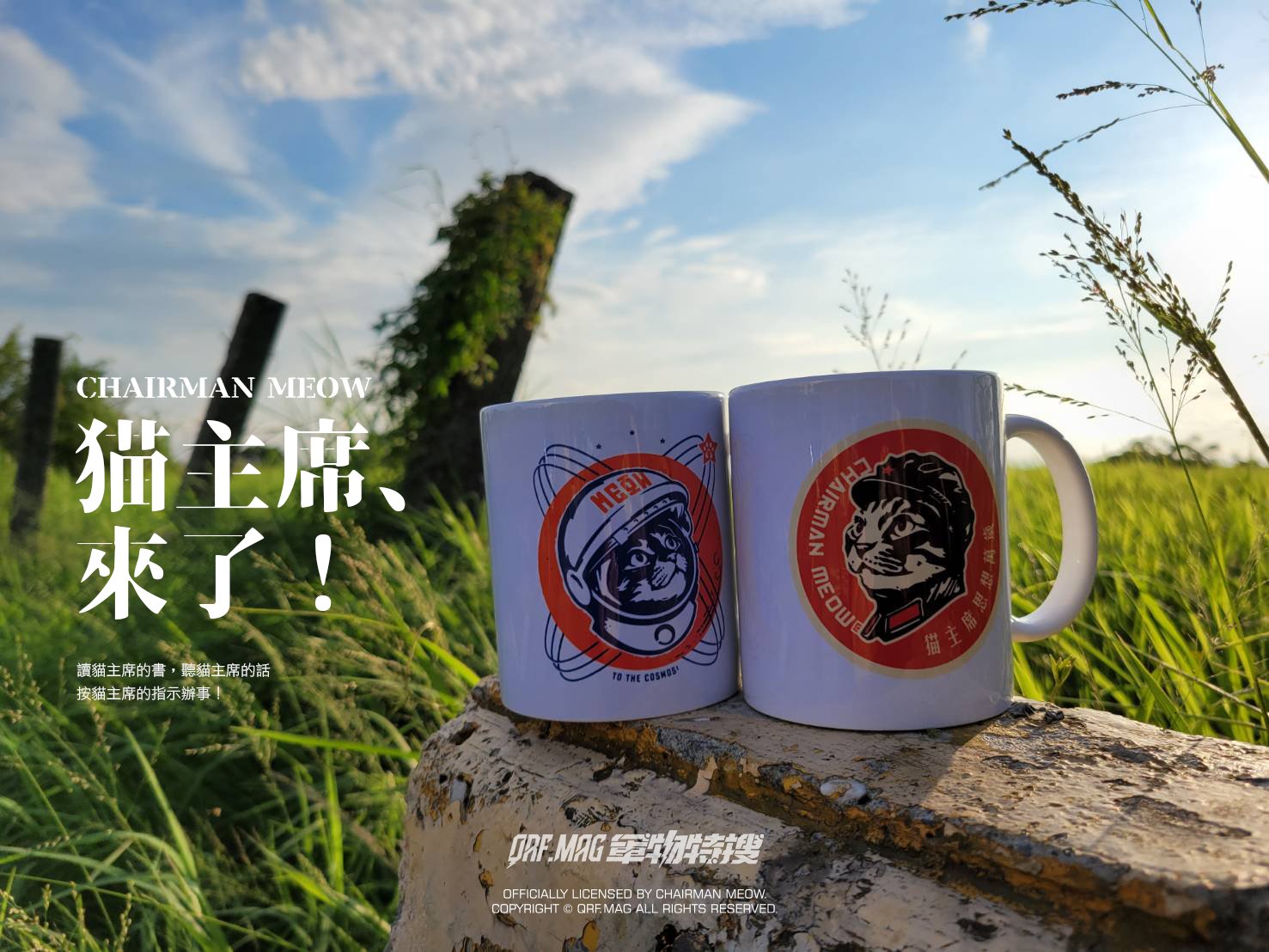 貓主席 Chairman Meow 共產風格 陶瓷馬克杯