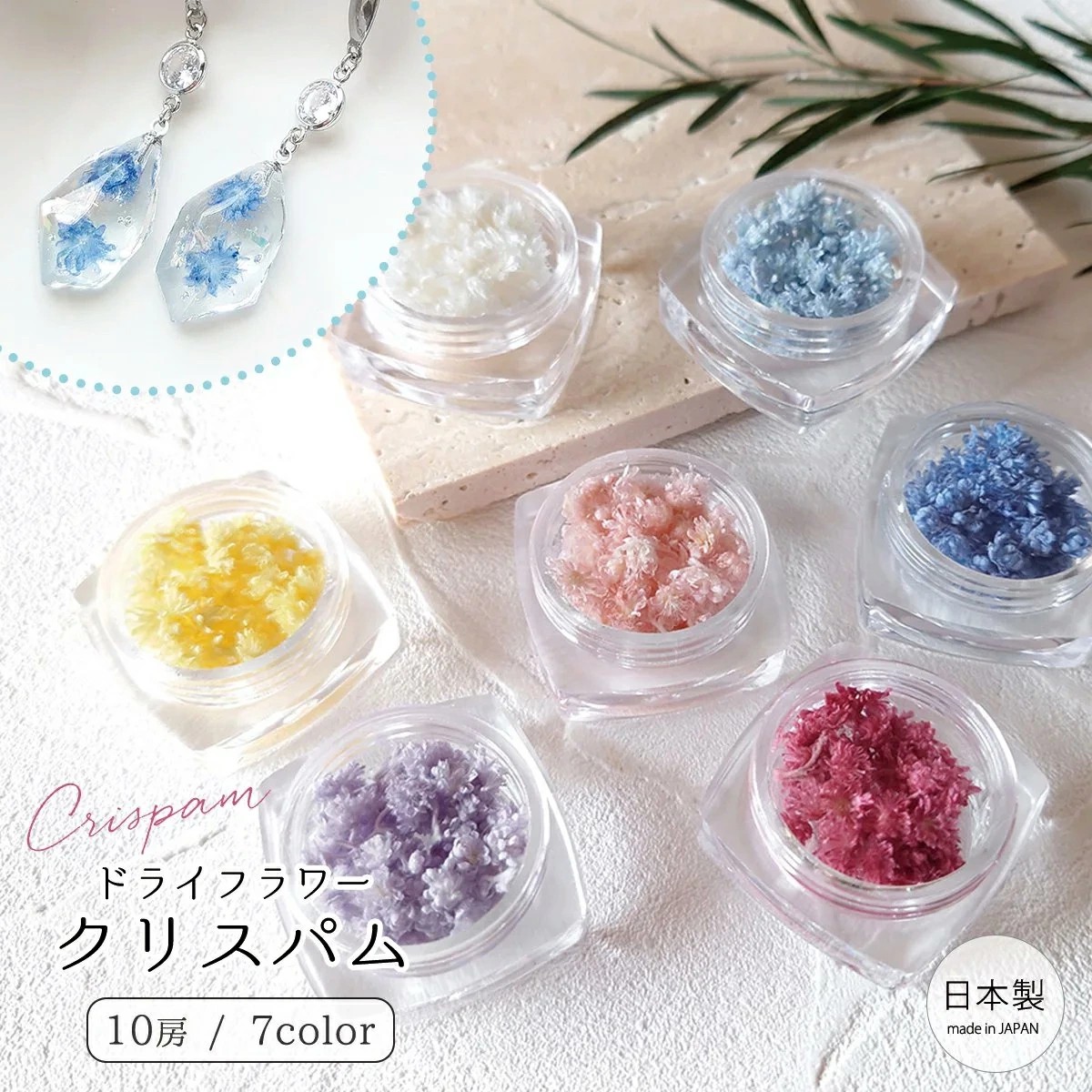 GreenOcean Crispy Pam乾燥花