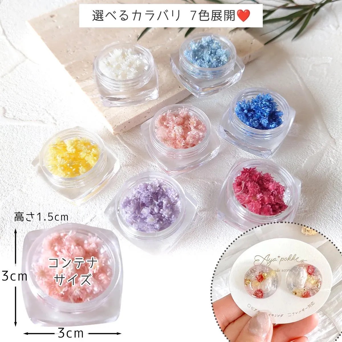 GreenOcean Crispy Pam乾燥花