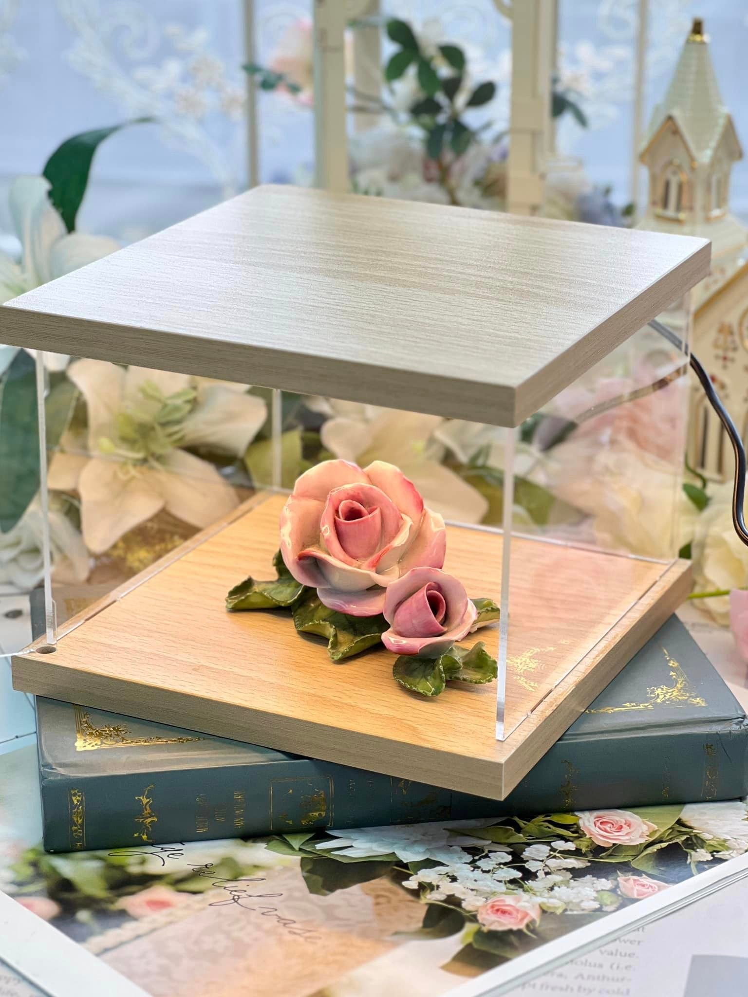 燈光收納展示盒