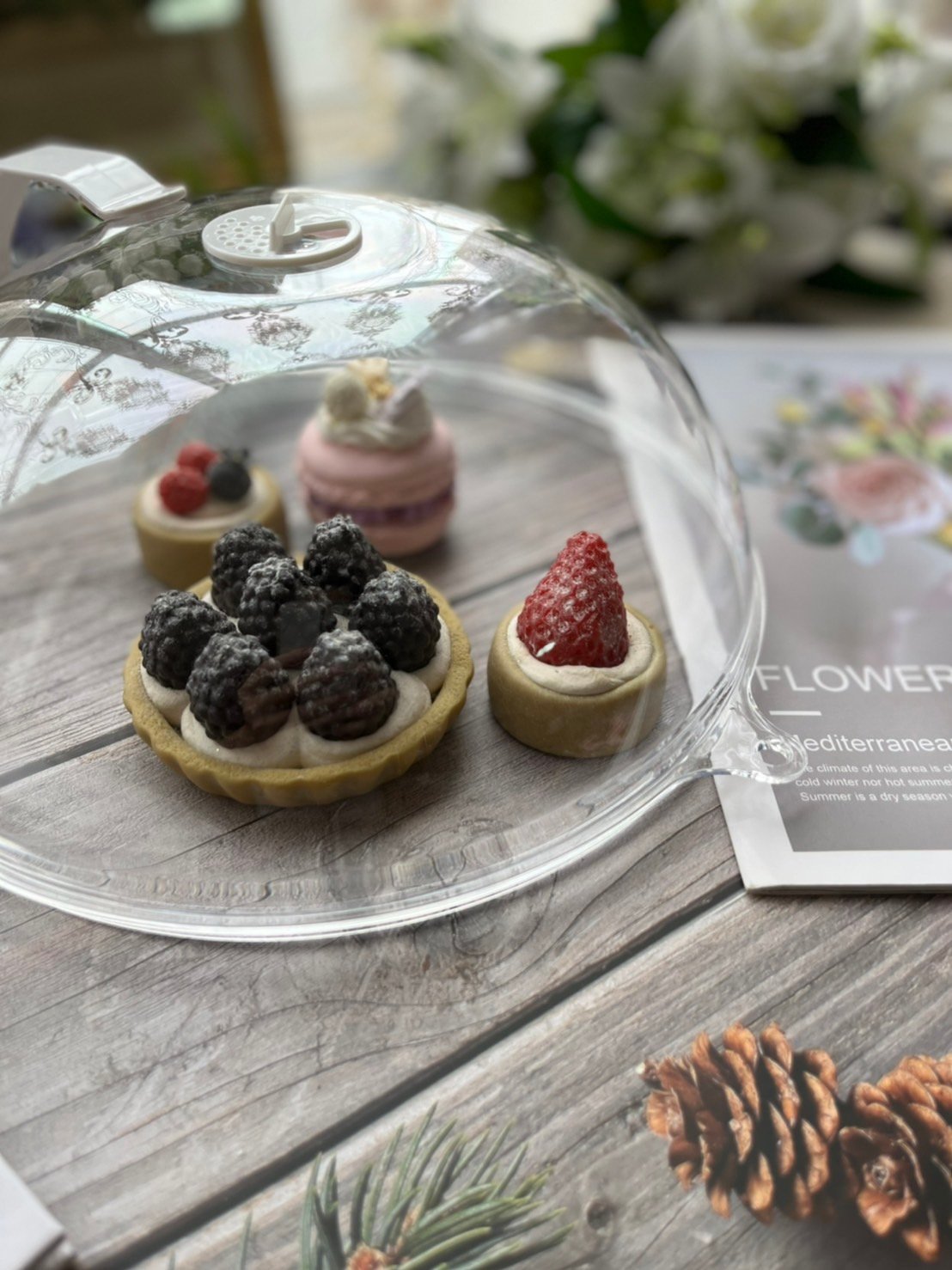 微波耐熱防噴濺/食物透明蓋罩