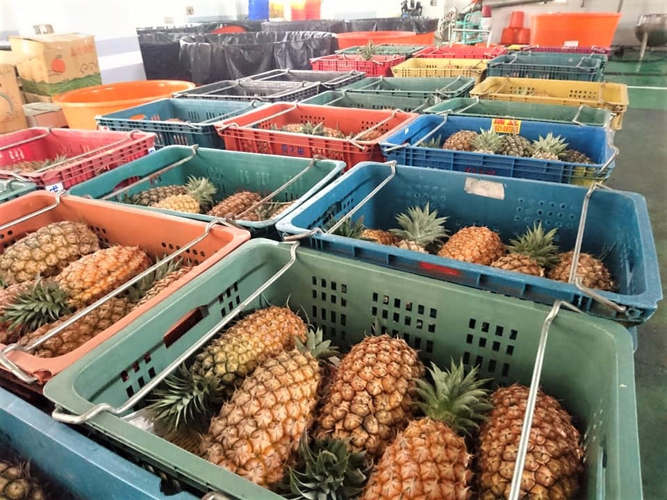 中國禁止進口台灣鳳梨，我們德合記收！