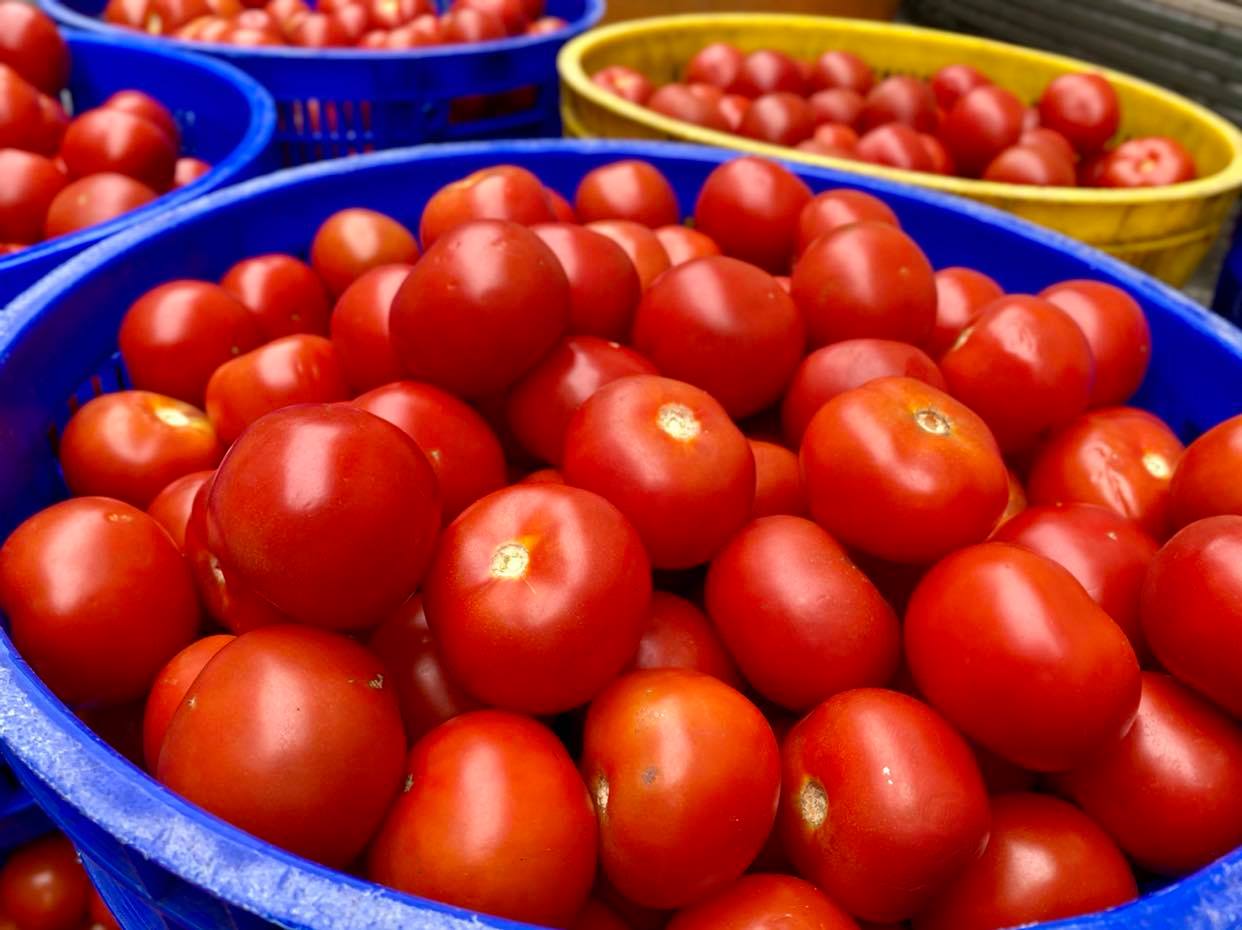 番茄紅了大家都該來買了