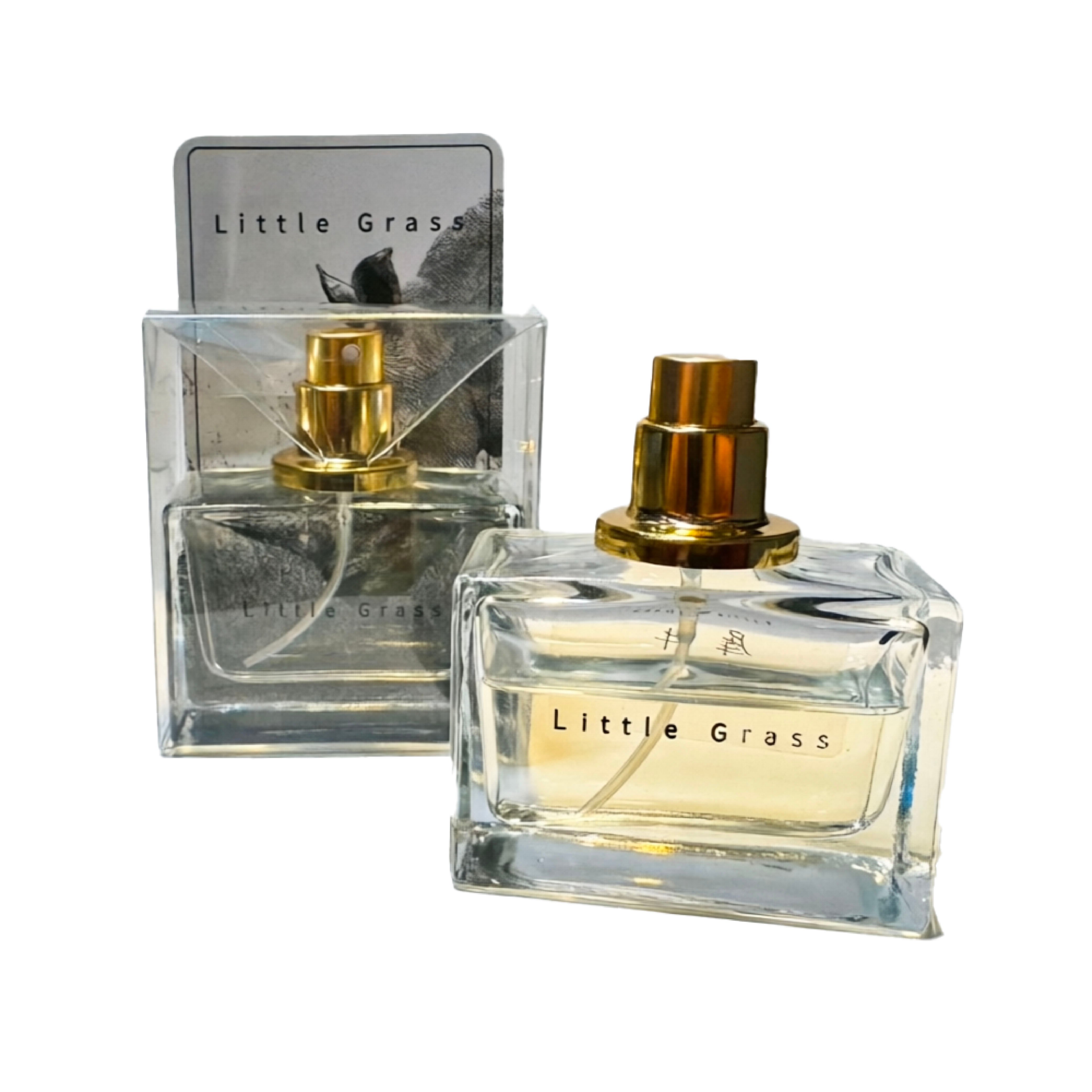 30ml PR750(似可怕的泰迪 (犀牛))