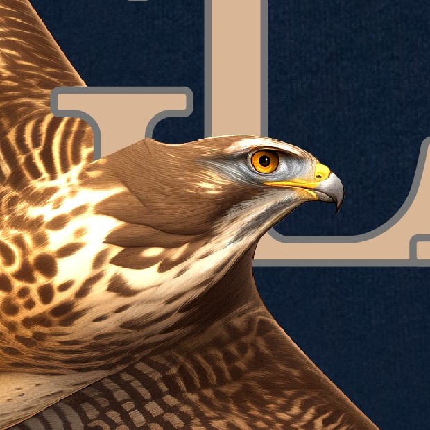 灰面鵟鷹T恤｜台灣猛禽生態潮T｜滿州限定設計款