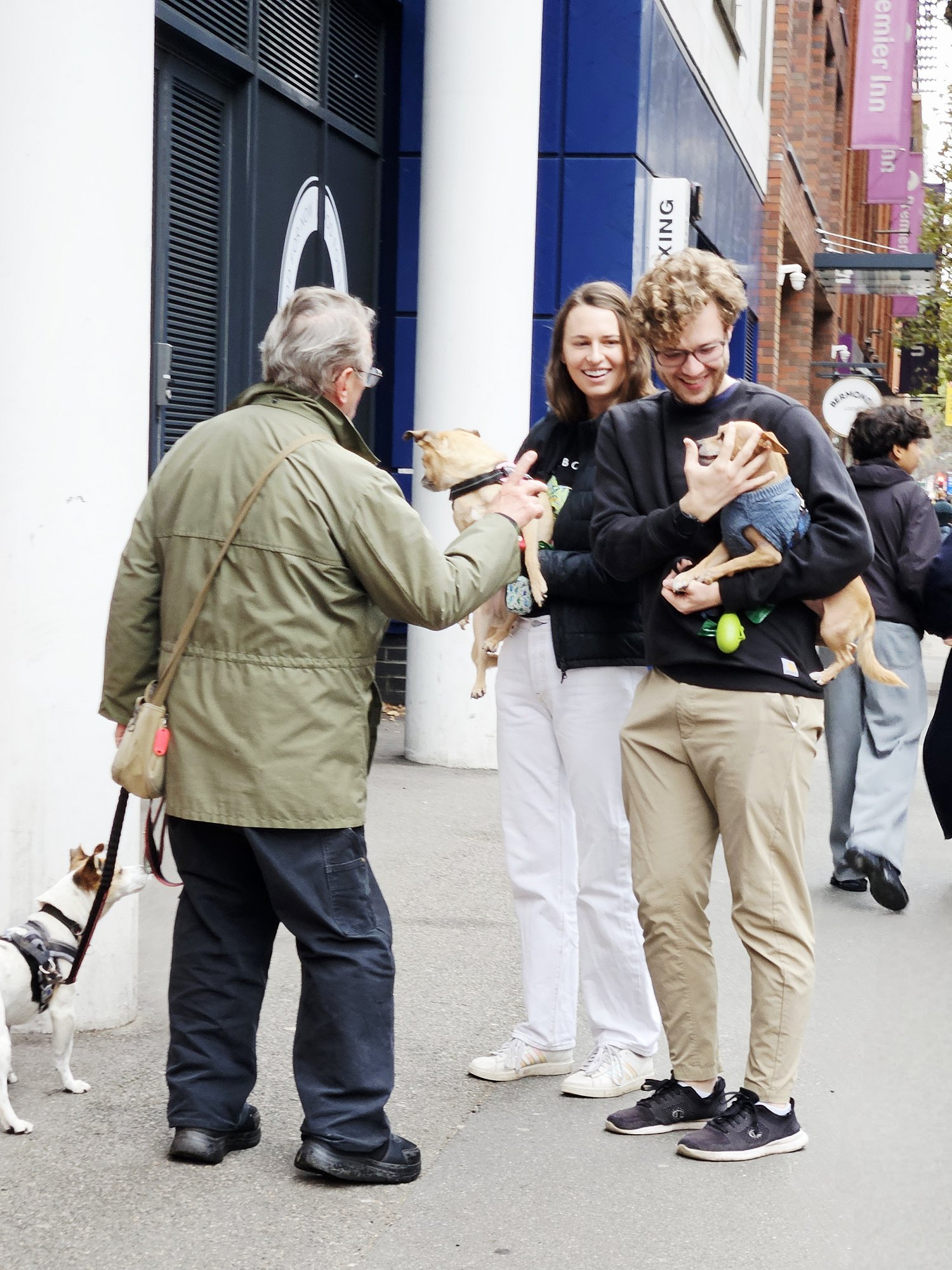 狗狗社交，溫馨的日常畫面