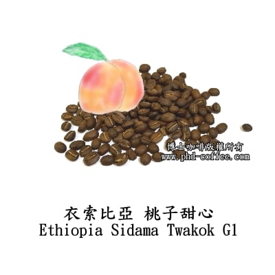 衣索比亞桃子甜心 (Ethiopia Sidama Twakok G1)