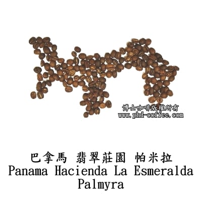 巴拿馬翡翠莊園帕米拉 (Panama Hacienda La Esmeralda Palmyra)