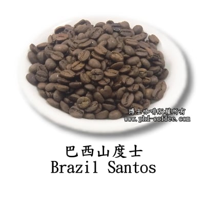 巴西山度士 Brazil Santos
