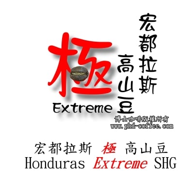 宏都拉斯極高山豆 (Honduras Extreme SHG)