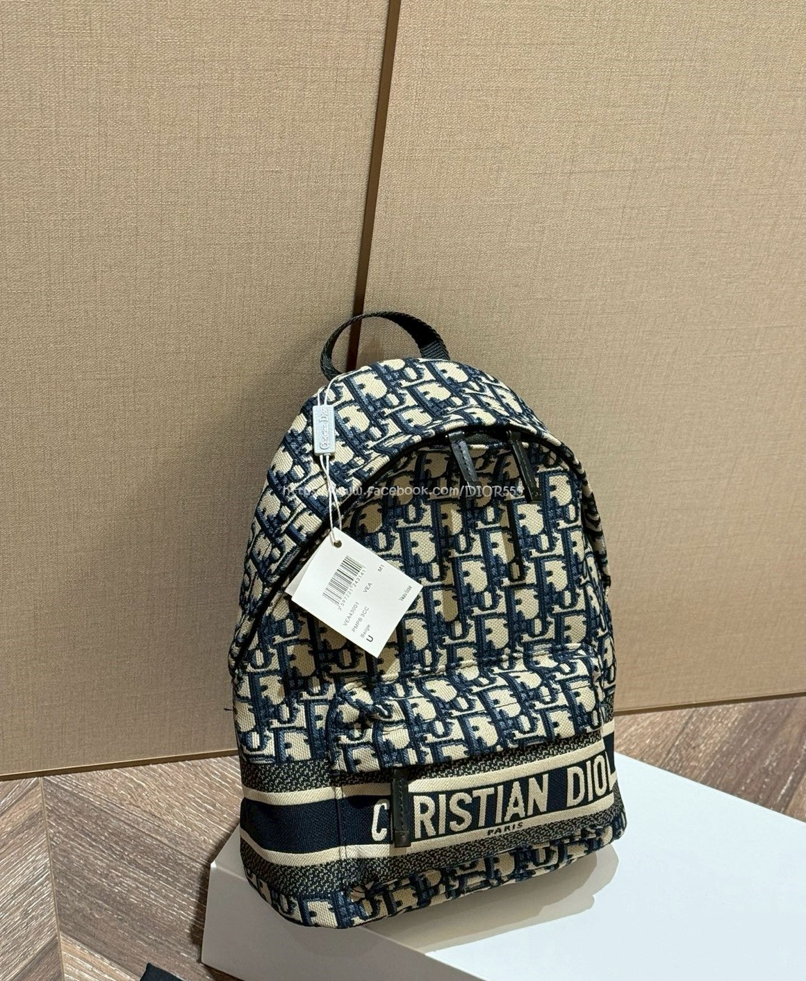 DIOR Oblique後背包