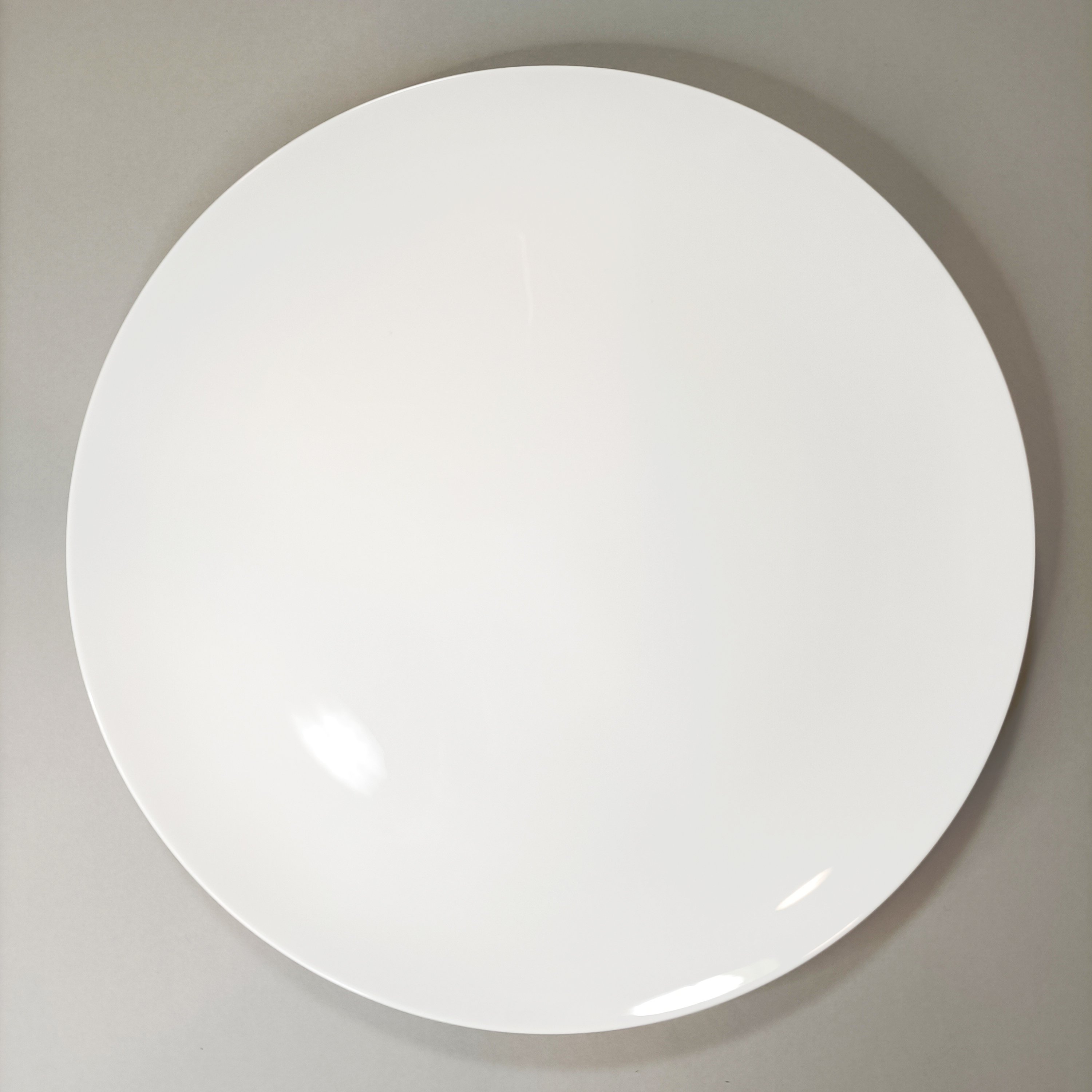 【骨瓷】10吋月光盤