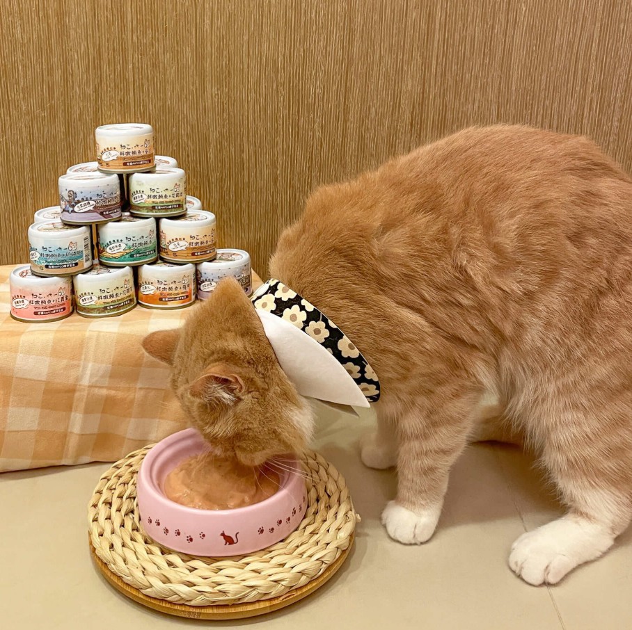 機能貓主食泥罐 | 吶一口 60g